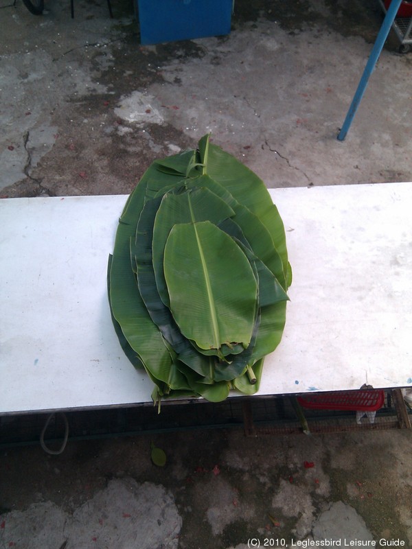 20100215Farm Visit51.jpg